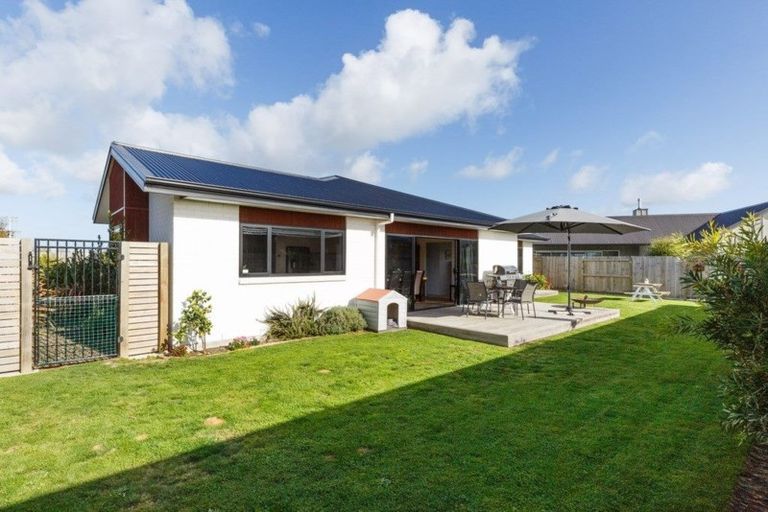 Photo of property in 48 Totara Road, Awapuni, Palmerston North, 4412