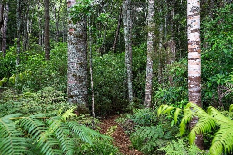 Photo of property in 27b Lett Road, Snells Beach, 0920