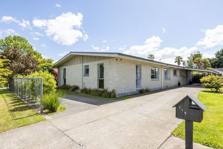 Photo of property in 119 Garnett Street, Raureka, Hastings, 4120