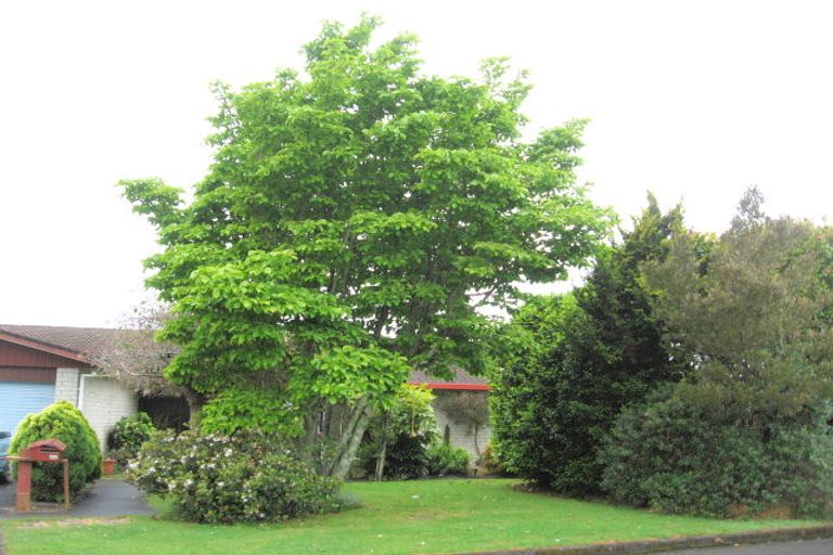 Photo of property in 44 Sedgewick Road, Opotiki, 3122