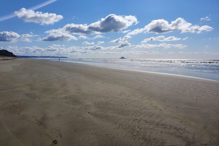 Photo of property in 3 Wagner Place, Waiotahe, Opotiki, 3198