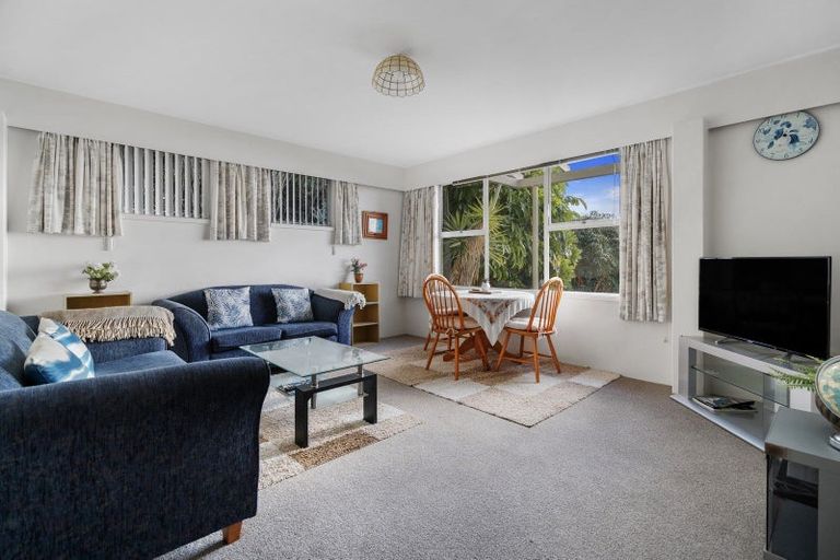 Photo of property in 52 Vine Avenue, Maungatapu, Tauranga, 3112