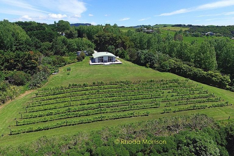 Photo of property in 245 Metcalfe Road, Matakohe, 0593