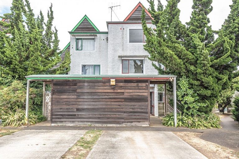 Photo of property in 73a Dublin Street, Whanganui, 4500