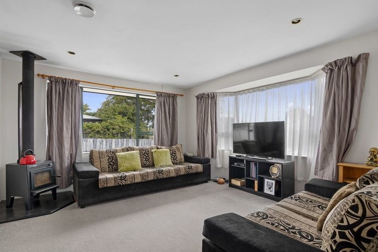 Photo of property in 10 Albizia Place, Richmond, 7020