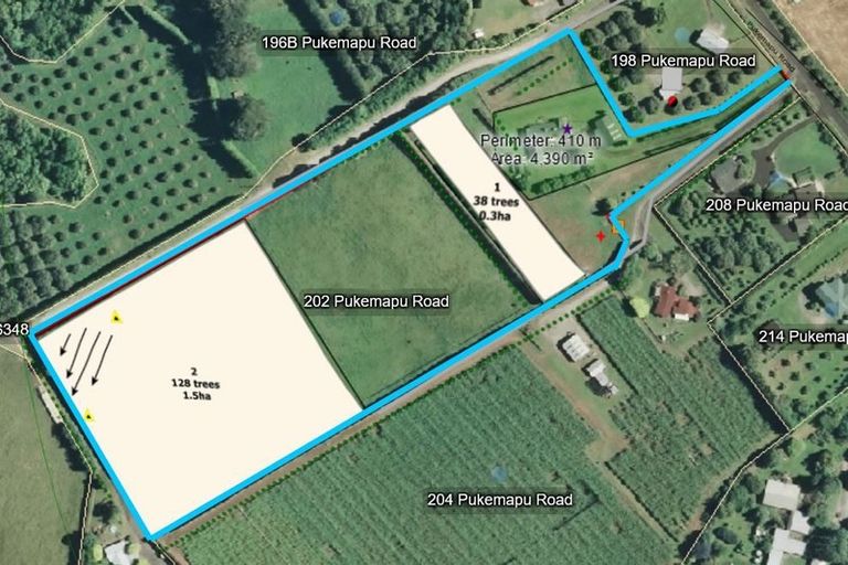 Photo of property in 202 Pukemapu Road, Oropi, Tauranga, 3173