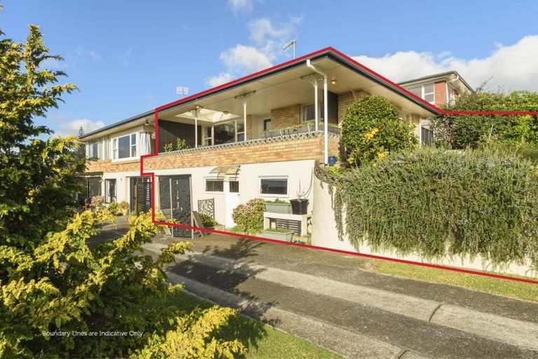 Photo of property in 1/24 Upland Street, Brookfield, Tauranga, 3110