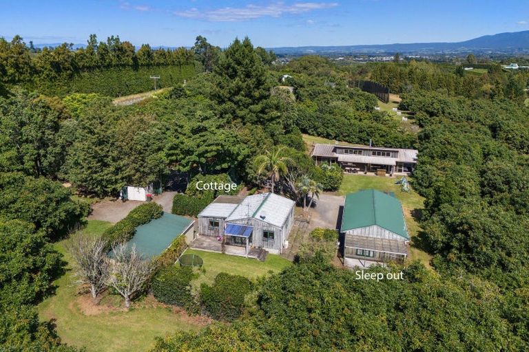 Photo of property in 463 State Highway, Tahawai, Katikati, 3170