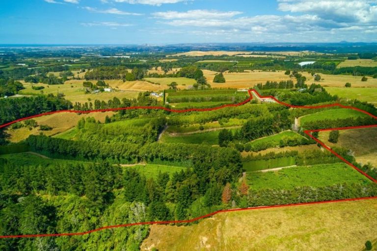 Photo of property in 866 No 2 Road, Te Ranga, Te Puke, 3182