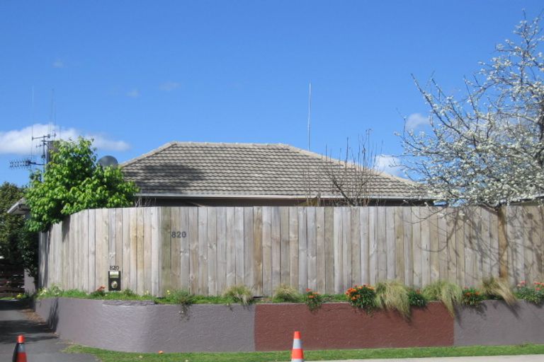 Photo of property in 820 Cameron Road, Tauranga South, Tauranga, 3112