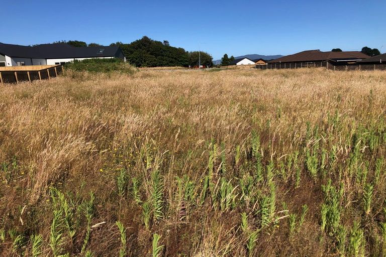 Photo of property in 157 Karuhiruhi Street, Waikanae, 5036