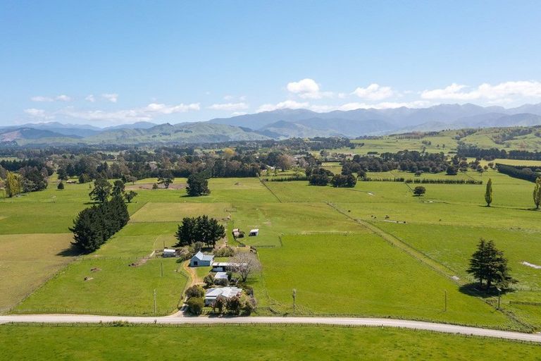 Photo of property in 49 Budd Road, Upper Plain, Masterton, 5888