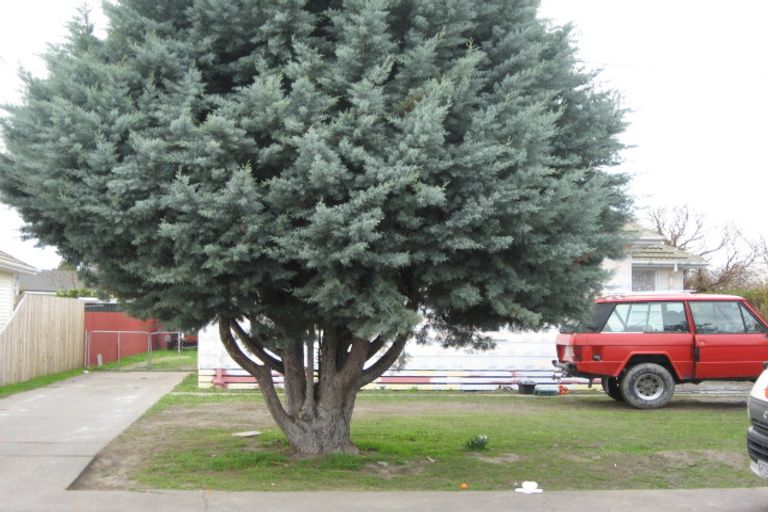 Photo of property in 907 Bledisloe Street, Raureka, Hastings, 4120