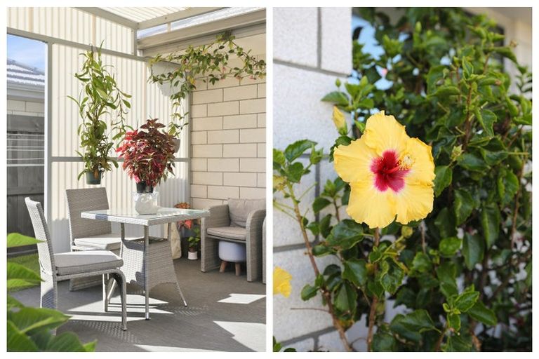 Photo of property in 5 Lance Way, Papamoa, 3118