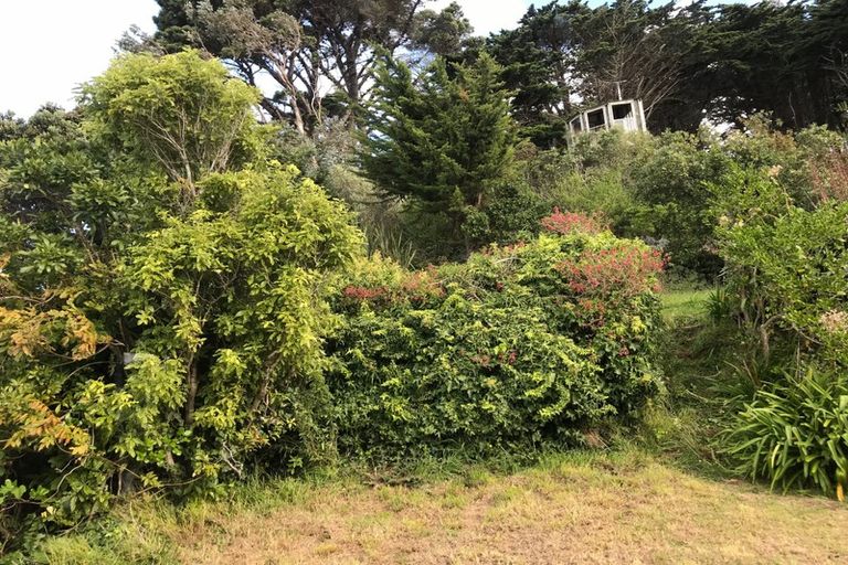 Photo of property in 18 Colville Street, Newtown, Wellington, 6021