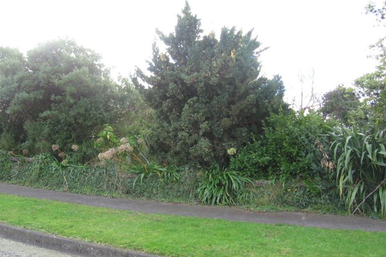 Photo of property in 29 Kowhai Street, Feilding, 4702