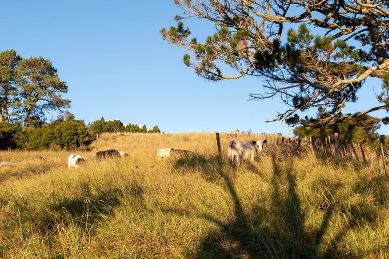 Photo of property in 896 Haruru Road, Wainui, Kaukapakapa, 0873