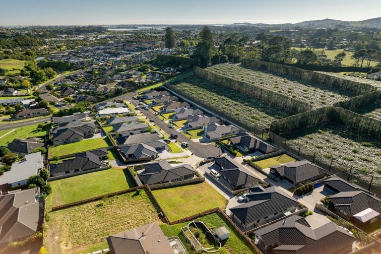 Photo of property in 48 Sharman Place, Pyes Pa, Tauranga, 3112