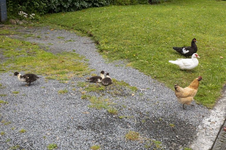 Photo of property in 145a Pinehaven Road, Pinehaven, Upper Hutt, 5019