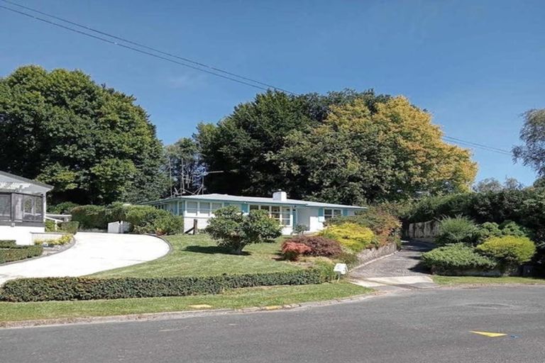 Photo of property in 14 Norrie Place, Putaruru, 3411