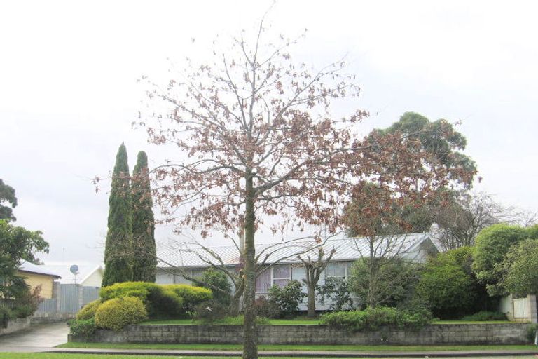 Photo of property in 232 Flaxmere Avenue, Flaxmere, Hastings, 4120