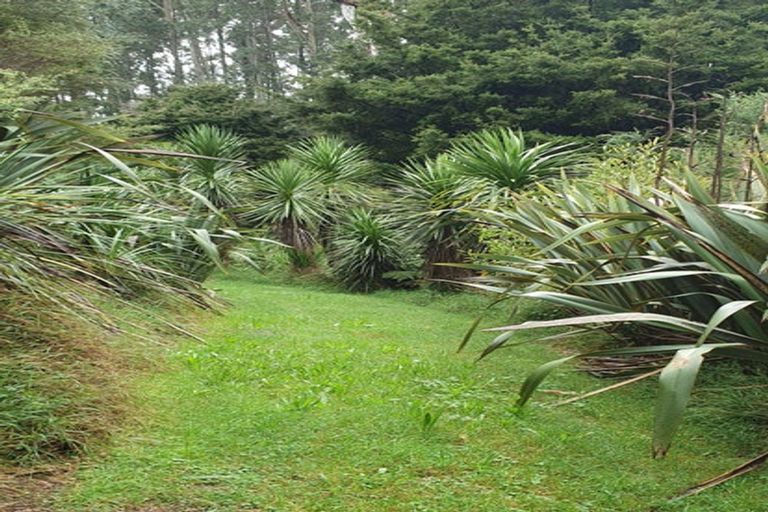 Photo of property in 19 Okura Drive, Kerikeri, 0230