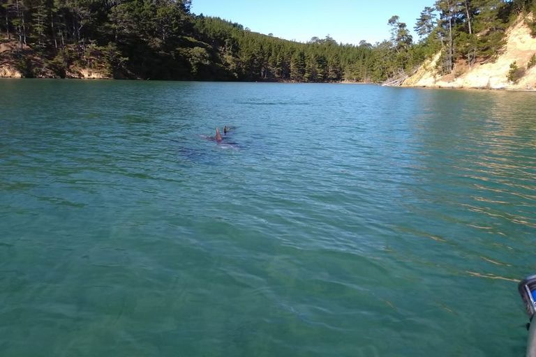 Photo of property in 19 Edith Ridge Road, Kawau Island, 0920