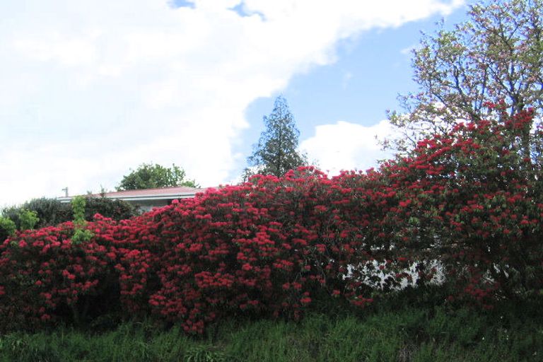 Photo of property in 431 Fraser Street, Parkvale, Tauranga, 3112