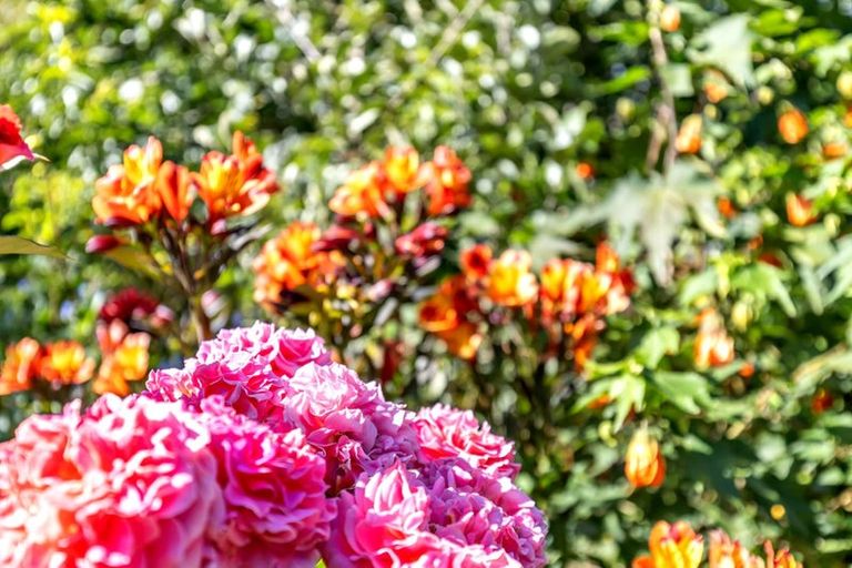 Photo of property in 139 Barnett Avenue, Best Island, Richmond, 7081