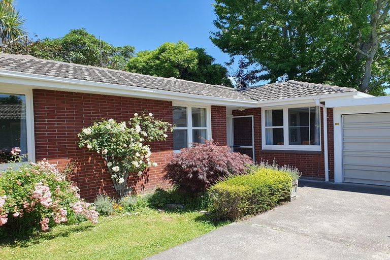 Photo of property in 252a Victoria Avenue, Hokowhitu, Palmerston North, 4410