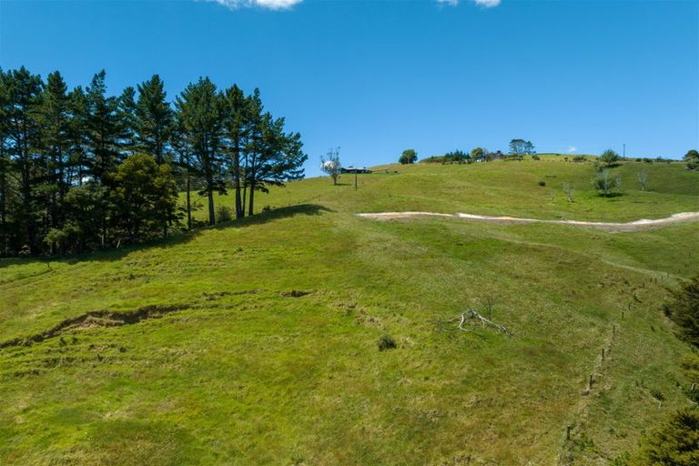 Photo of property in 19 Toots Drive, Kawakawa, 0282