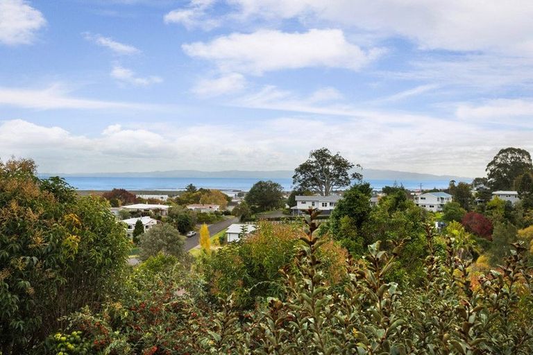 Photo of property in 404 Millington Place, Thames, 3500