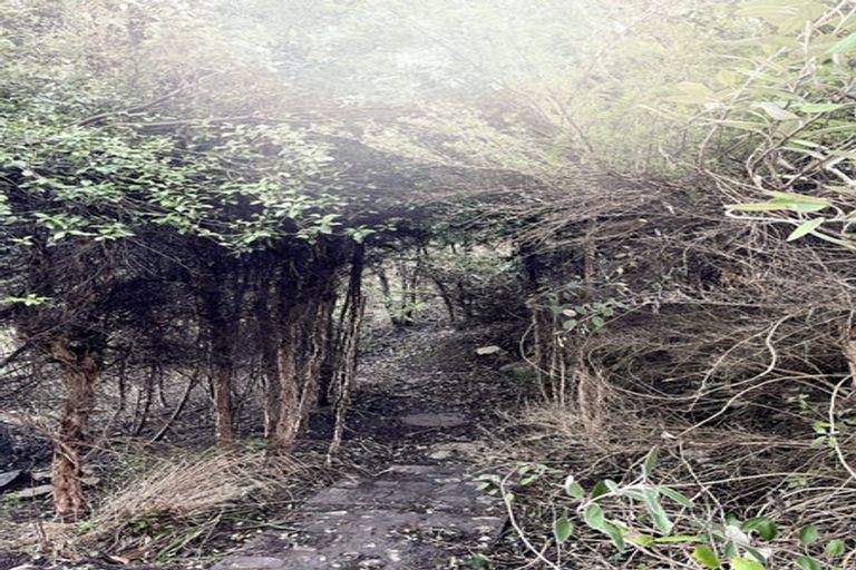 Photo of property in 11 Oregon Heights, Hanmer Springs, 7334