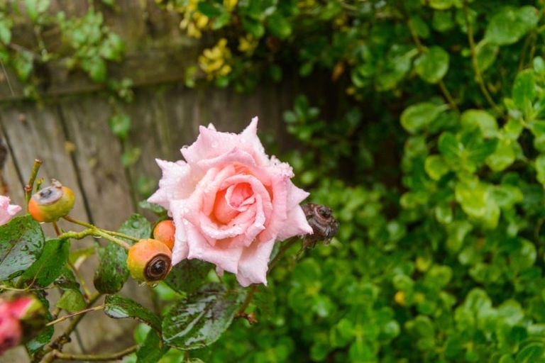 Photo of property in 28 Rhodes Drive, Kelvin Grove, Palmerston North, 4414