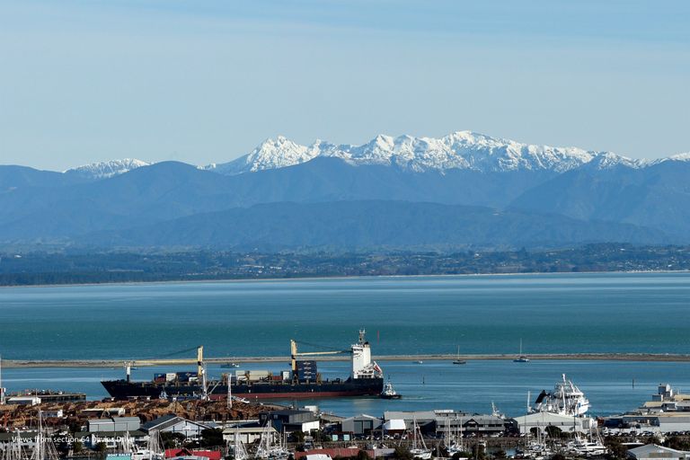 Photo of property in 64 Davies Drive, Atawhai, Nelson, 7010