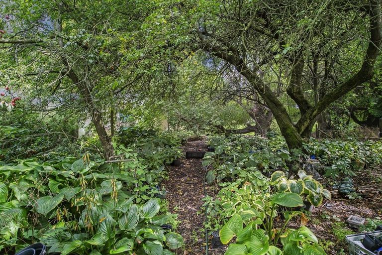 Photo of property in 691 Marshland Road, Ouruhia, Christchurch, 8083