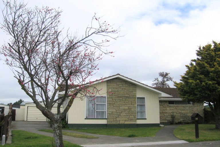 Photo of property in 35 Lichfield Crescent, Tamatea, Napier, 4112