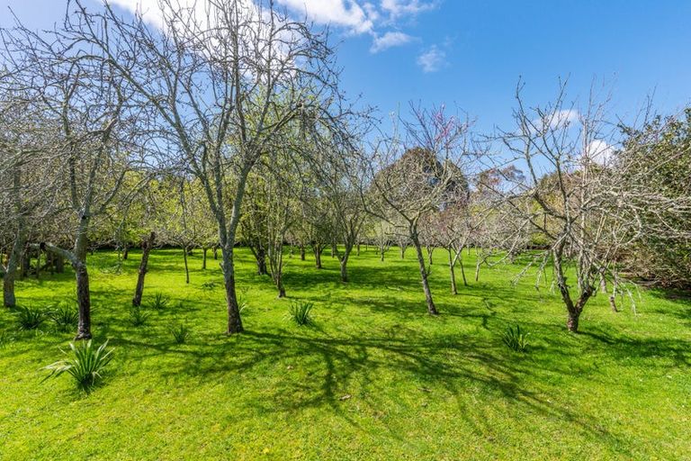 Photo of property in 35 Whelans Road, Levin, 5571