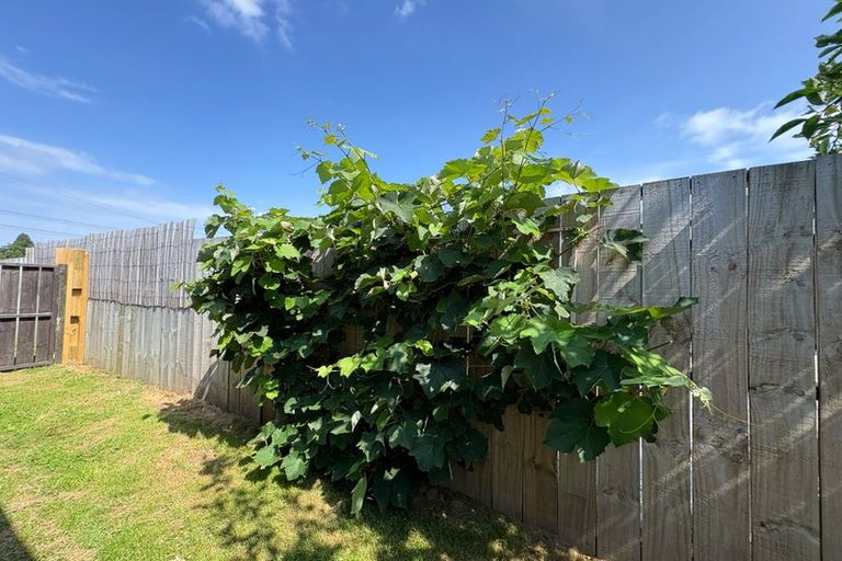 Photo of property in 56a Queen Road, Bellevue, Tauranga, 3110