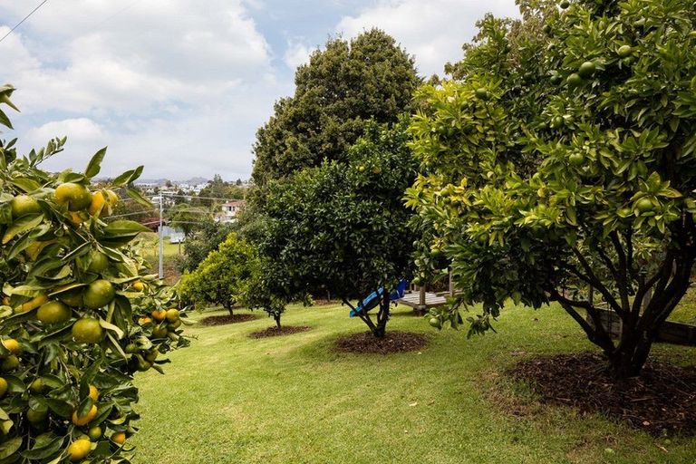 Photo of property in 37 Poike Road, Hairini, Tauranga, 3112