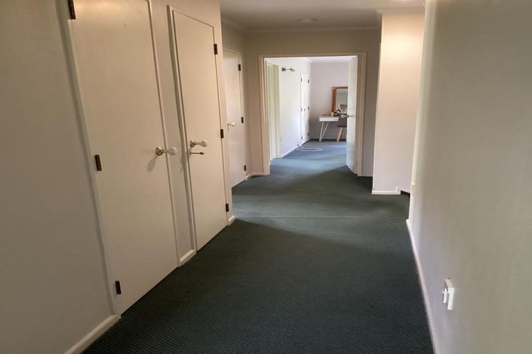 Photo of property in 58 Simla Avenue, Havelock North, 4130