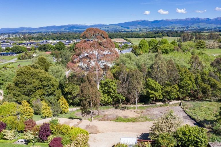 Photo of property in 91 Titoki Street, Lansdowne, Masterton, 5810