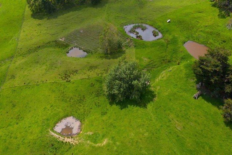 Photo of property in 229 Settlement Road, Kaiwaka, 0573