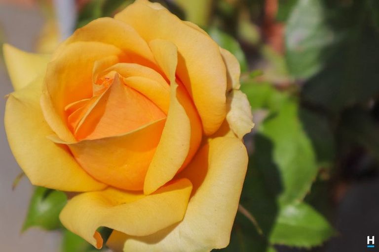 Photo of property in 112 Bealey Street, Hokitika, 7810