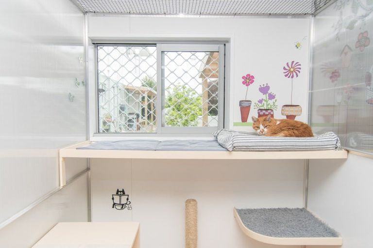 Photo of property in 207 Otipua Road, West End, Timaru, 7910