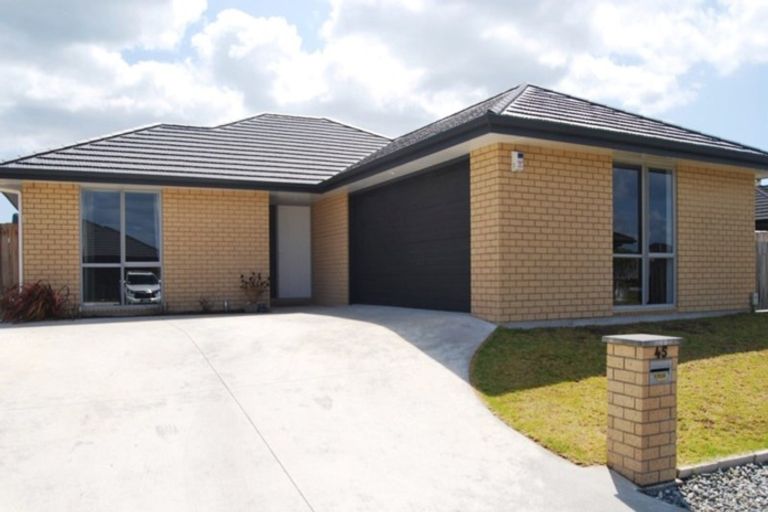 Photo of property in 45 Kowi Lakes Drive, One Tree Point, 0118