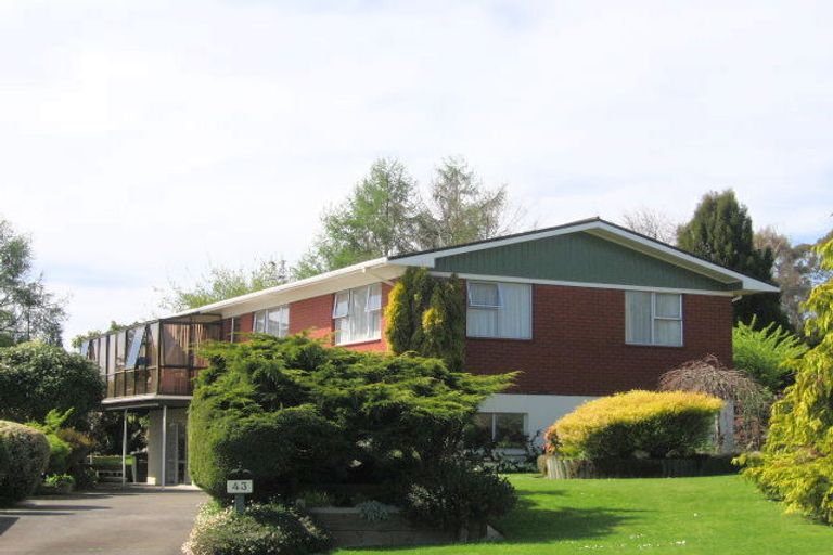 Photo of property in 43 Mcdowell Street, Springfield, Rotorua, 3015