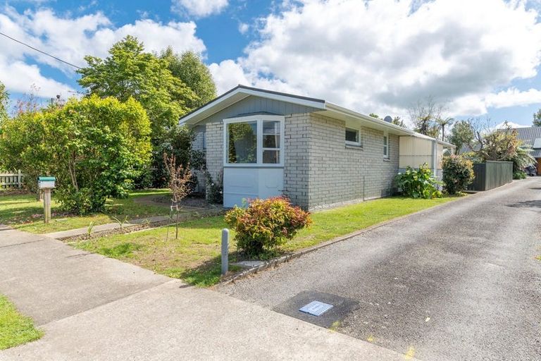 Photo of property in 59 Macarthur Street, Levin, 5510