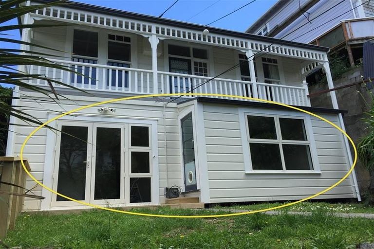 Photo of property in 67 Norway Street, Aro Valley, Wellington, 6012