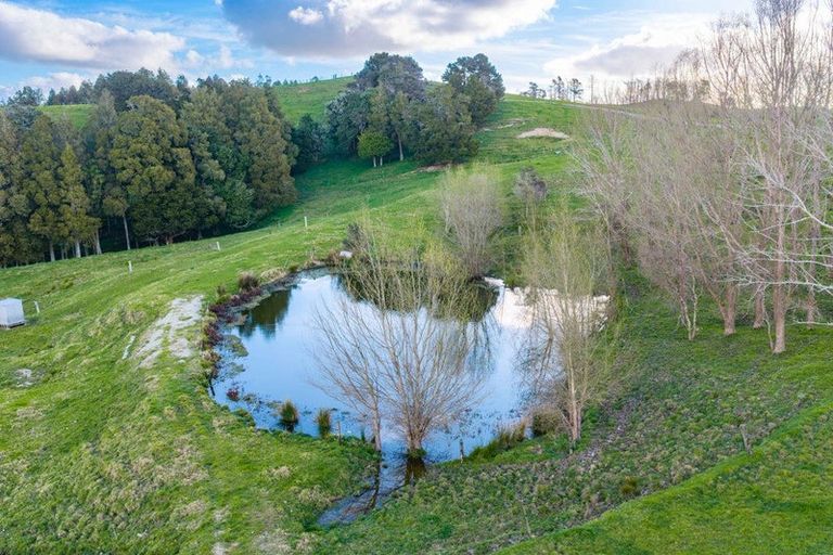 Photo of property in 272 Huarau Road, Whakapirau, Maungaturoto, 0583